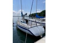 WD Schock Santana 30/30 Click to launch Larger Image
