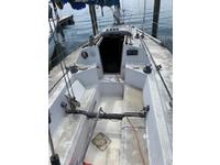 WD Schock Santana 30/30 Click to launch Larger Image