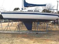 1983 Lake Norman North Carolina 30 WD Schock Santana 30/30