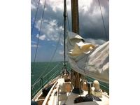 Schwarz Marine Company Steel Cutter-Rigged Sloop Click to launch Larger Image