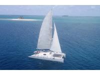 2008 Panama  50 Hercher BM 50