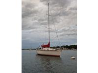 WD Schock Santana 30/30 Click to launch Larger Image