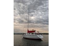 WD Schock Santana 30/30 Click to launch Larger Image