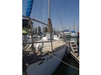 Freya F39 Click to launch Larger Image