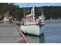 True North 34 cutter True North 34 cutter Click to launch Larger Image