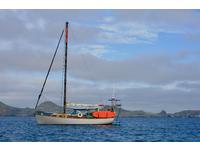 Chris Craft Sparkman & Stevens 35 Sailboat Click to launch Larger Image