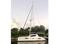 Robertson and Caine Leopard 38 Click to launch Larger Image