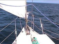 CSY 37 Click to launch Larger Image