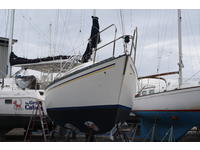 Hunter 27 Cherubini Click to launch Larger Image