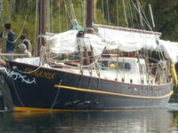 Schooner Hans Koll Double fin Schooner Click to launch Larger Image