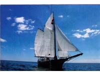Schooner Hans Koll Double fin Schooner Click to launch Larger Image