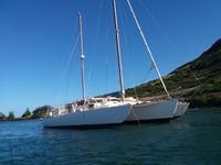 Norman Cross Trimaran Click to launch Larger Image