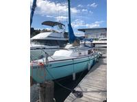 Capital Yachts Newport 30 Sloop Click to launch Larger Image