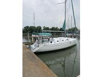 Beneteau 311 Click to launch Larger Image