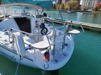 Catalina Mk III Tall rig Click to launch Larger Image