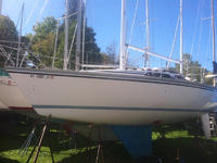 Hunter 28.5 Click to launch Larger Image