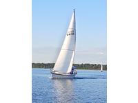 Canadian Sailcraft 33 Click to launch Larger Image