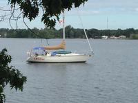 1979 Henderson New York 36' C&C Sloop