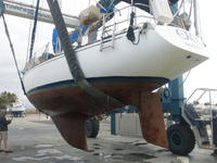 Newport 41S Click to launch Larger Image