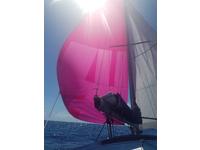 Beneteau First 456 Click to launch Larger Image