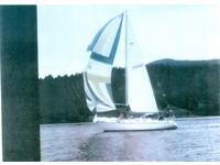 Islander Racer/Cruiser Click to launch Larger Image