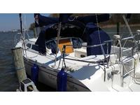 Catalina C320 fractional Click to launch Larger Image