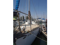Freya F39 Click to launch Larger Image