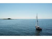 Nowak & Williams  Herreshoff Eagle Click to launch Larger Image