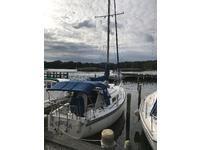 newport Mark III Click to launch Larger Image