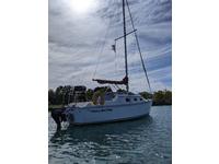 Watkins Seawolf 25 Click to launch Larger Image