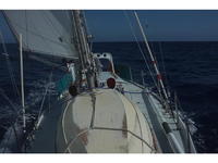 Al Mason Vitesse 36 Click to launch Larger Image