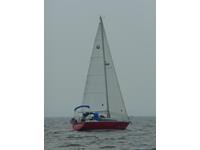 Dufour 31 Click to launch Larger Image