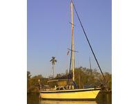  Corbin39 Click to launch Larger Image