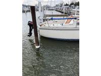 Catalina Fin Keel Click to launch Larger Image