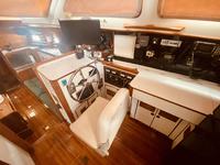 Brewer MT42 Click to launch Larger Image