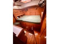 Brewer MT42 Click to launch Larger Image