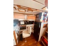 Brewer MT42 Click to launch Larger Image