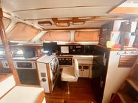 Brewer MT42 Click to launch Larger Image