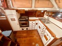 Brewer MT42 Click to launch Larger Image