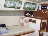 Schock Santana 26' Click to launch Larger Image
