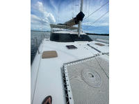 Charter Cat Jaguar Click to launch Larger Image