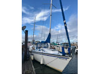 Seidelmann 299 Click to launch Larger Image