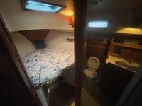 Island Packet IP31 Click to launch Larger Image