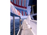 Helleman trimaran Click to launch Larger Image