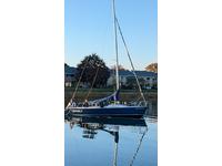 Colgate 26