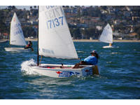 McLaughlin Optimist Click to launch Larger Image