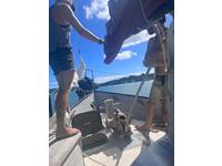 TE Colvin Doxy 38' Click to launch Larger Image