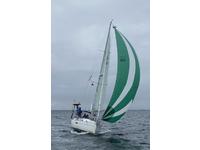 Beneteau 361 Click to launch Larger Image