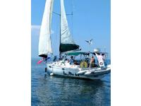 Beneteau Oceanis 440 Click to launch Larger Image