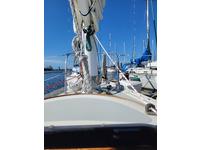 Freedom 33' Cat Ketch Click to launch Larger Image